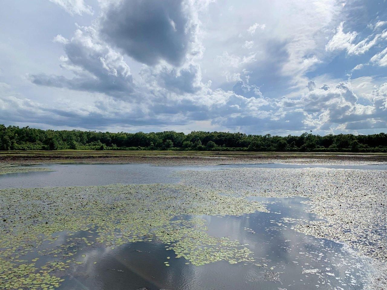 1891 Kidron Road, Harrisonburg, LA 71340