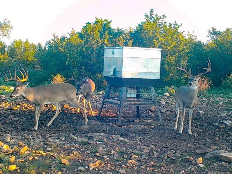 1,583 acres in San Saba, TX, 76877