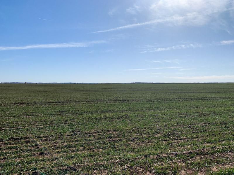 NS 255 Road, Fairview, OK 73737