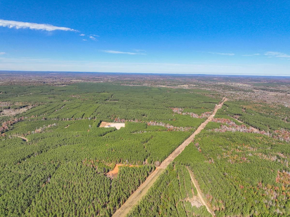 257 acres in Nacogdoches County, Texas