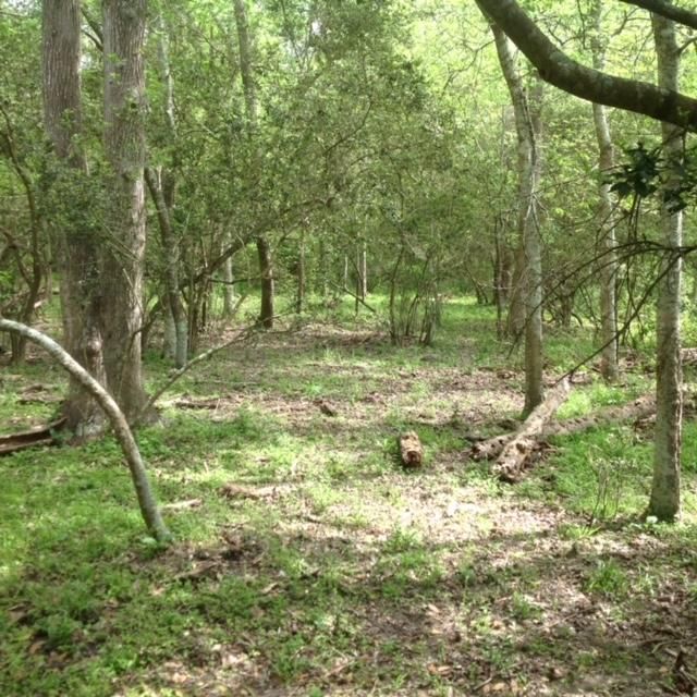 400 acres in Liberty County, Texas