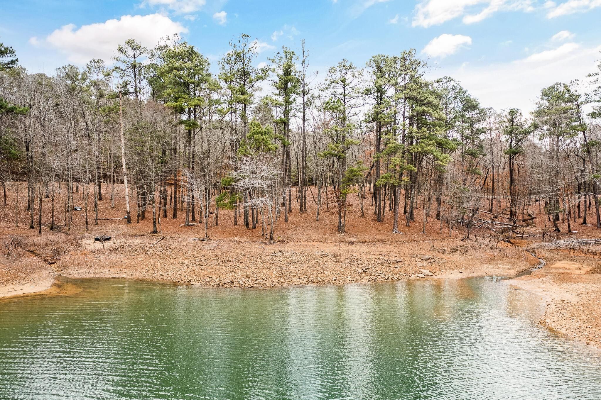 4 acres in Cullman County, Alabama