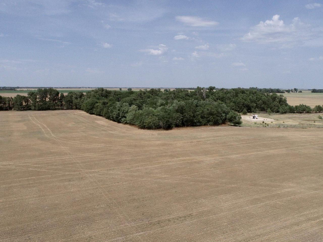 154 acres in Stafford County, Kansas