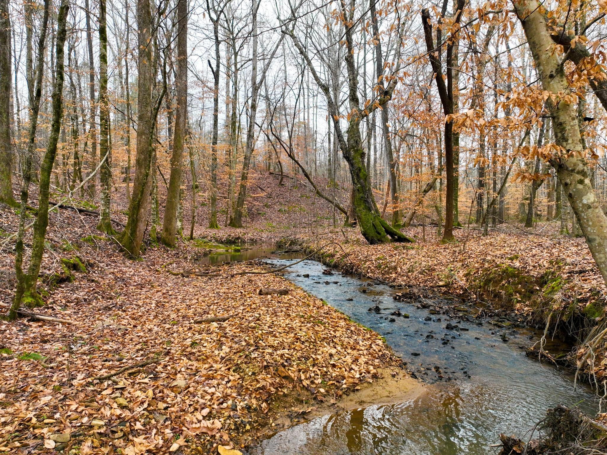 70 acres in Monroe County,