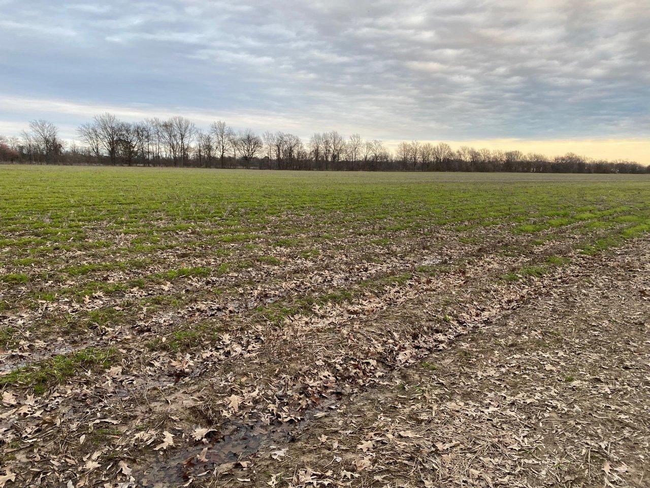 10845 GREEN LN., Mer Rouge, LA 71261