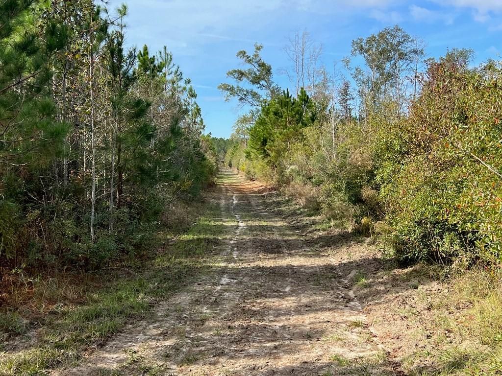 Happy Hill Tract, Alapaha, GA 31622 MLS 111734