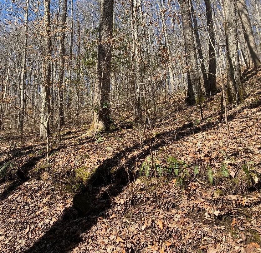 11.3 acres in Swain County, North Carolina