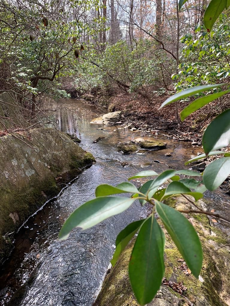 Walkers Lane, Chase City, VA 23924 MLS 66956