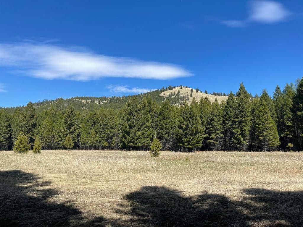 15 acres in Flathead County, Montana