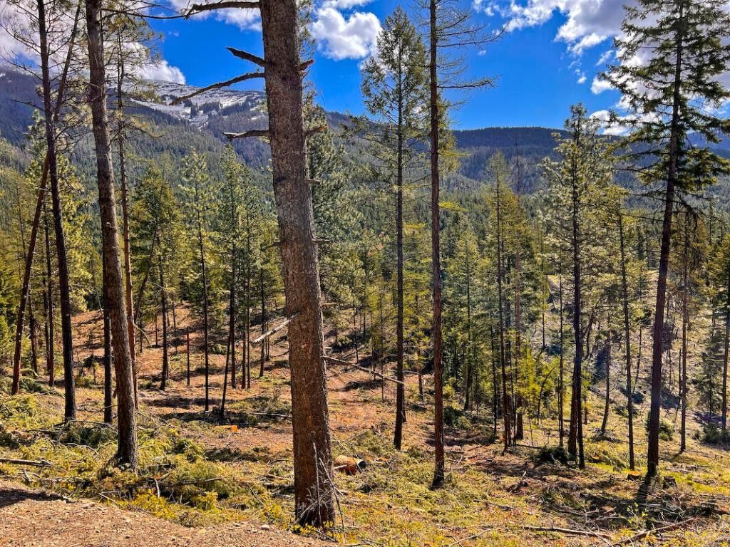 21.63 acres in Sanders County, Montana