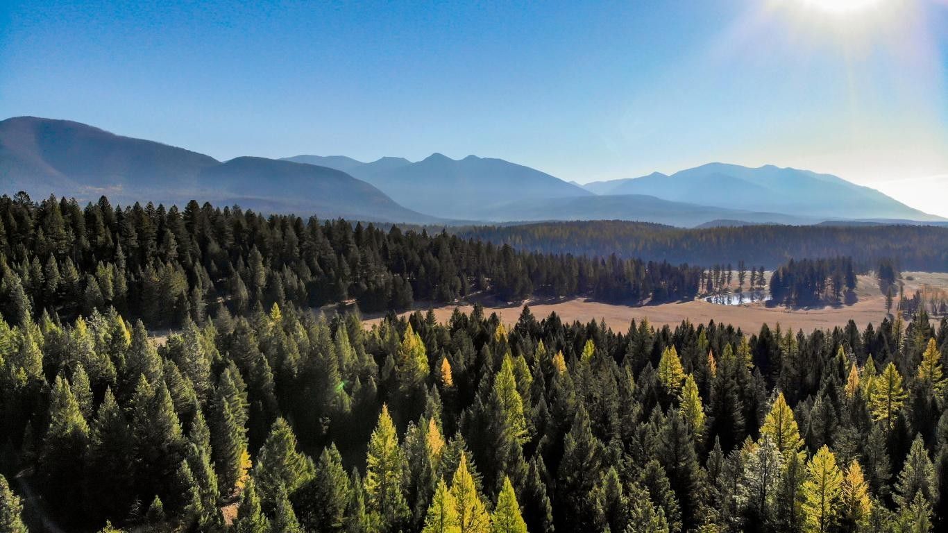 20 acres in Lincoln County, Montana