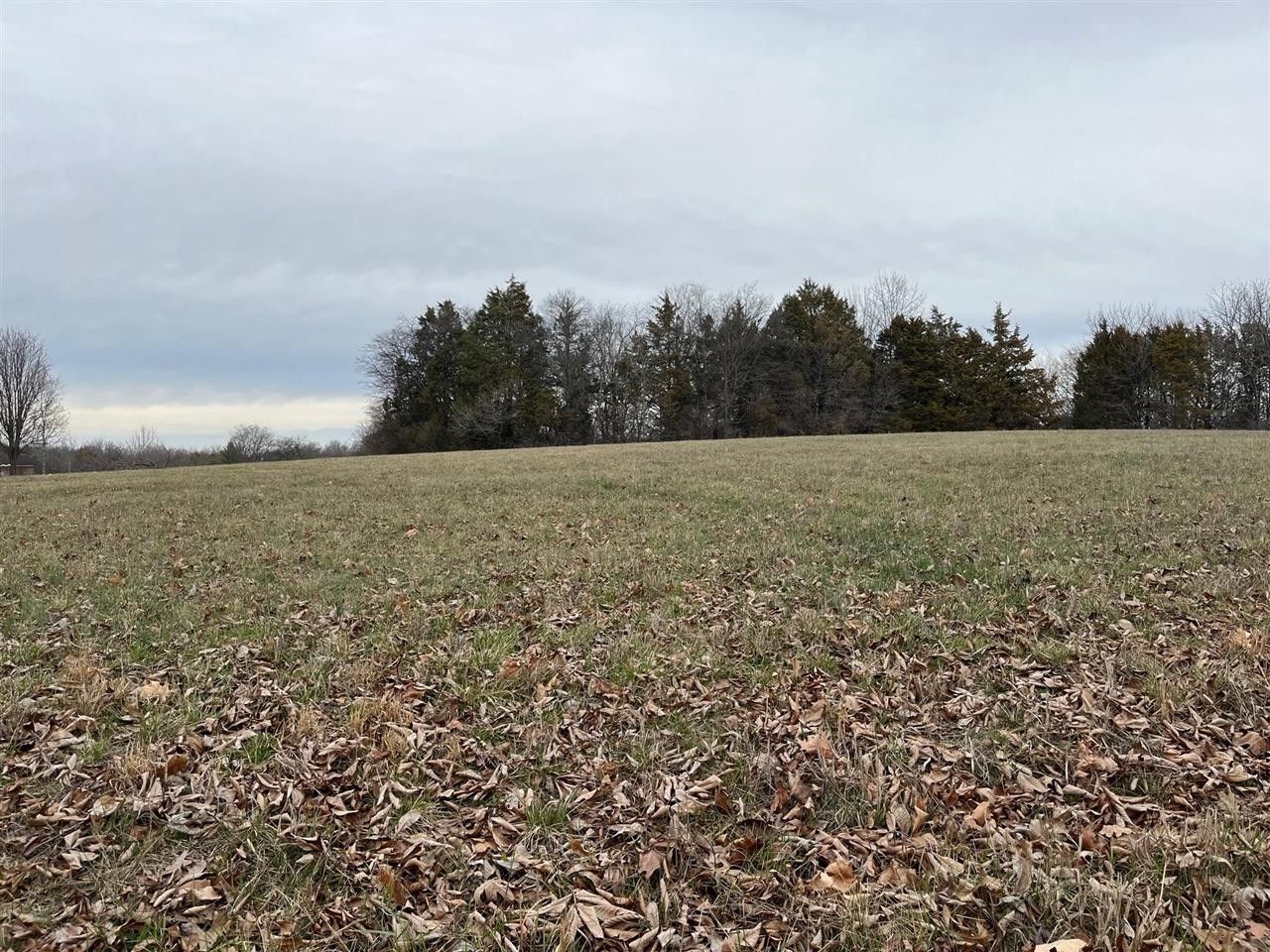 11 acres in Warren County, Kentucky