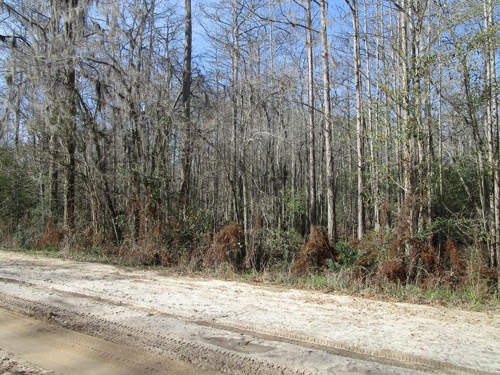 4.2 acres in Grady County,