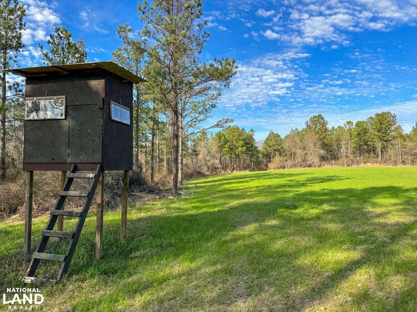 109 acres in Wilcox County, Alabama