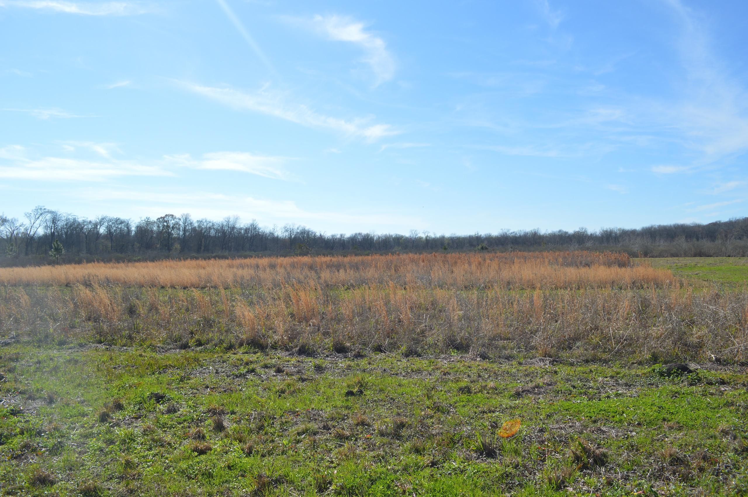 279 acres in Pointe Coupee Parish, Louisiana