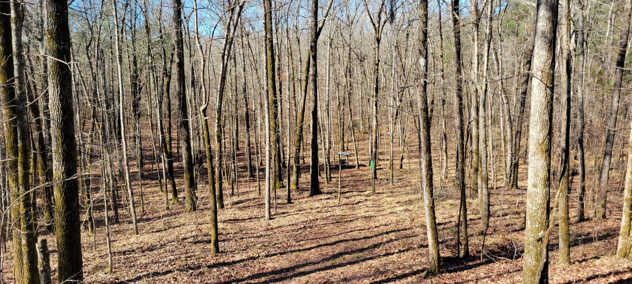 1,480 acres in Macon County, Alabama