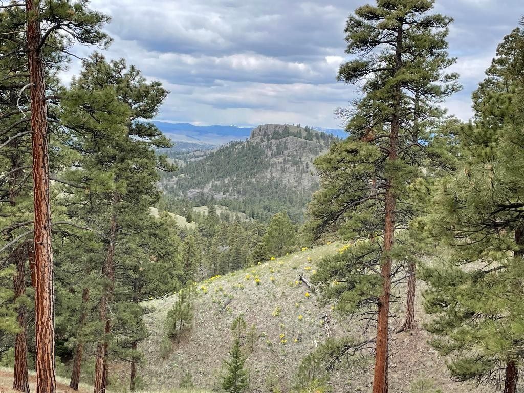 14.39 acres in Cascade County, Montana