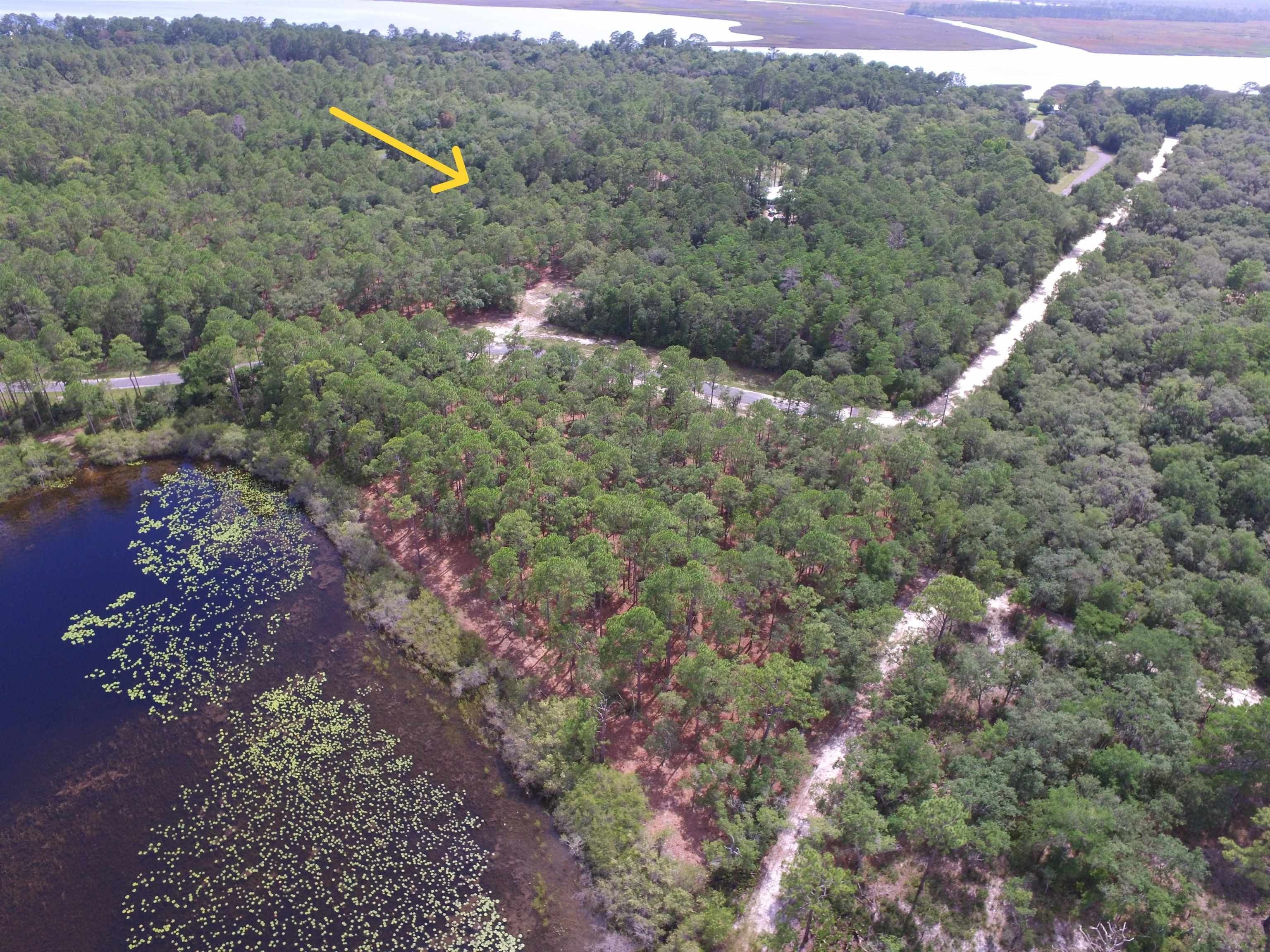 2 acres in Wakulla County, Florida