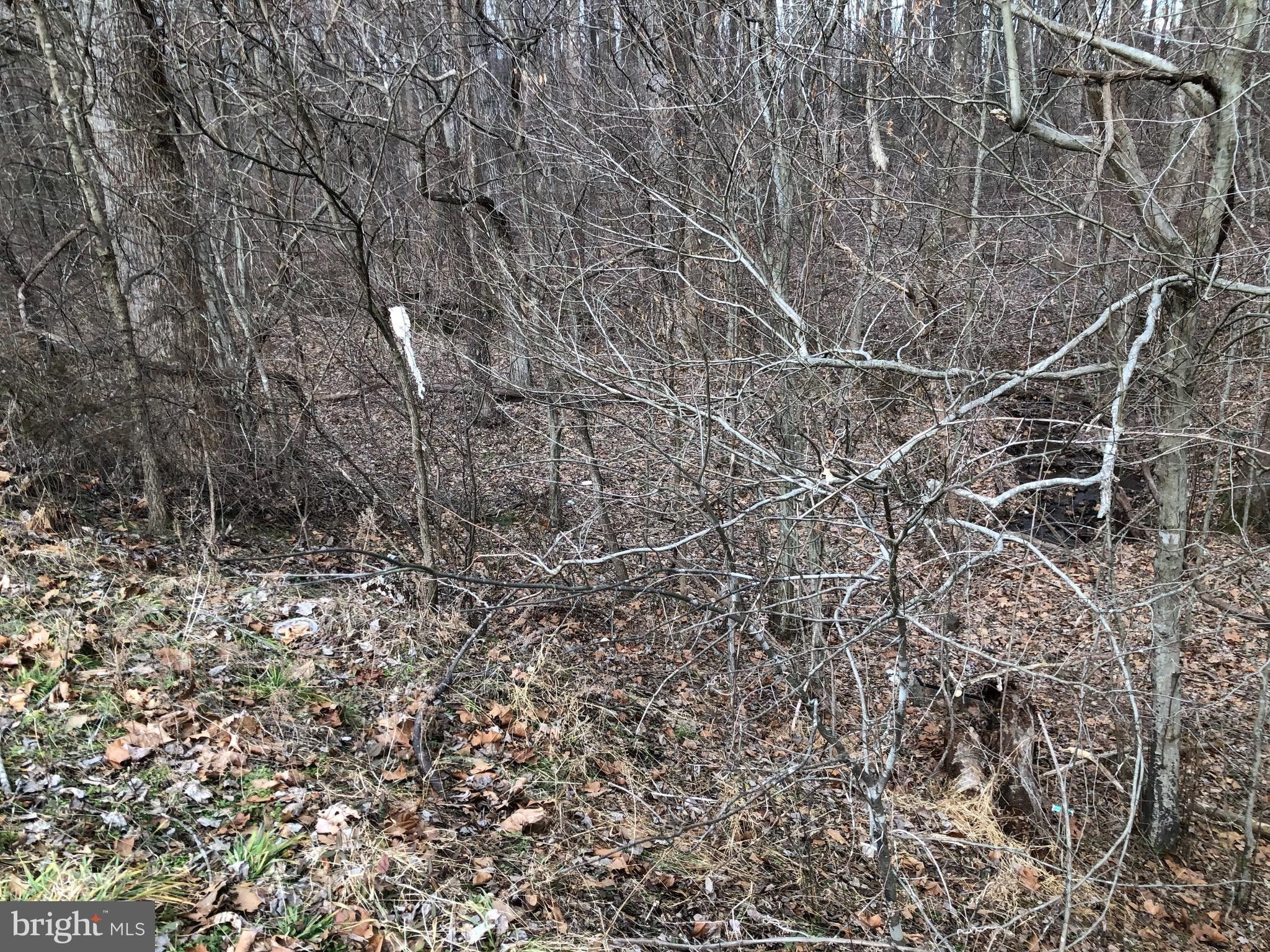 7 acres in Culpeper County, Virginia