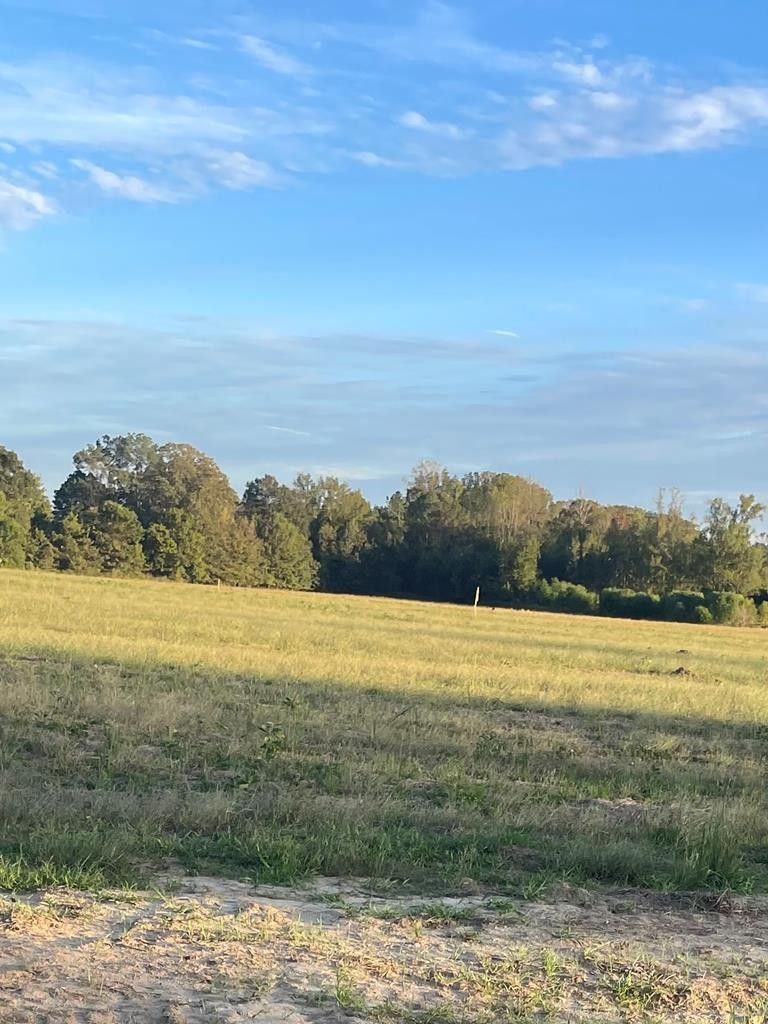 2 acres in Warren County, Mississippi