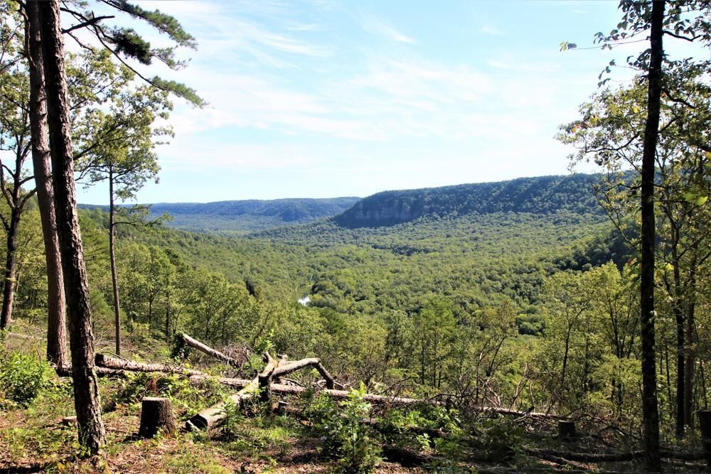 40 acres in Stone County, Arkansas