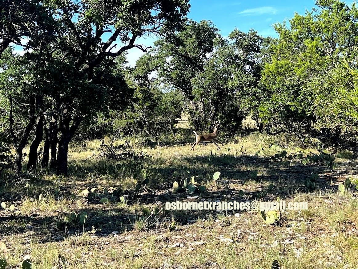 22.35 acres in Menard, TX, 76859