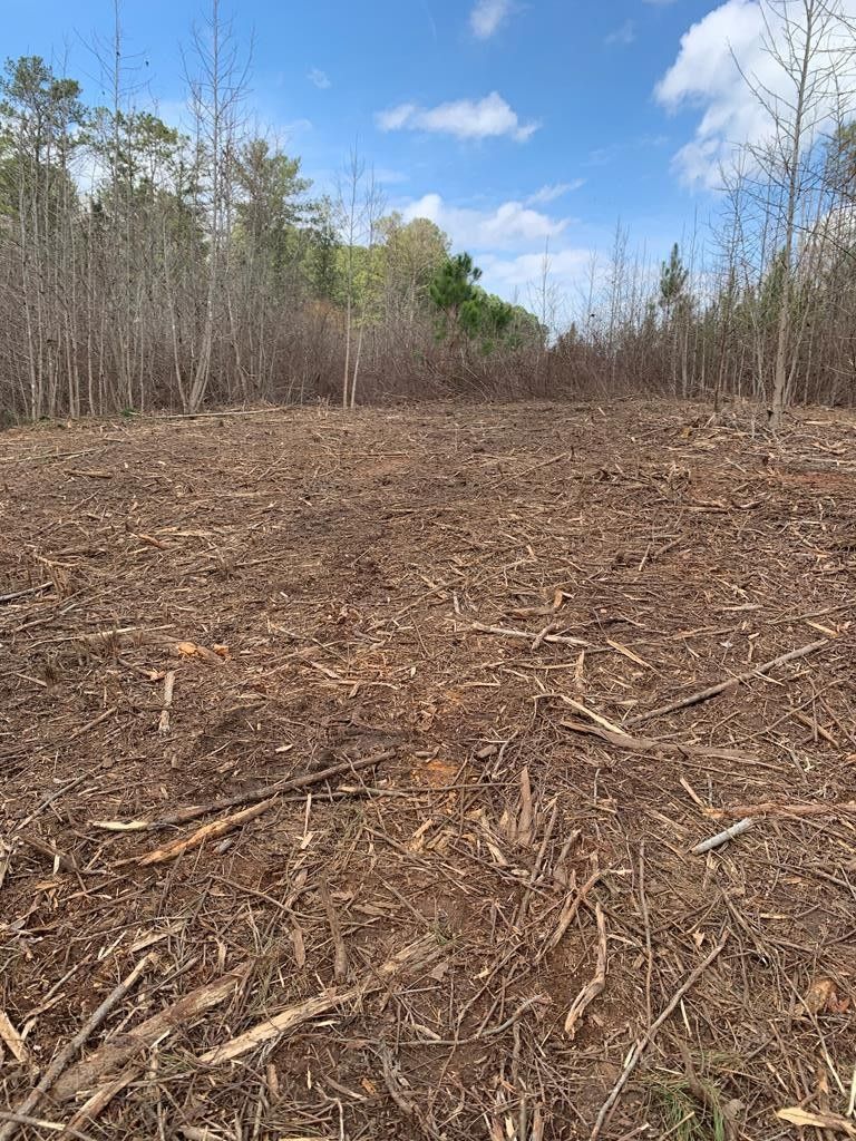 Gum Creek Rd, Roopville, GA 30170 MLS 143928