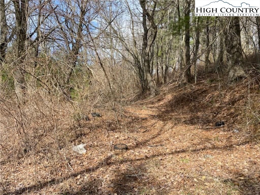 3 acres in Alleghany County, North Carolina
