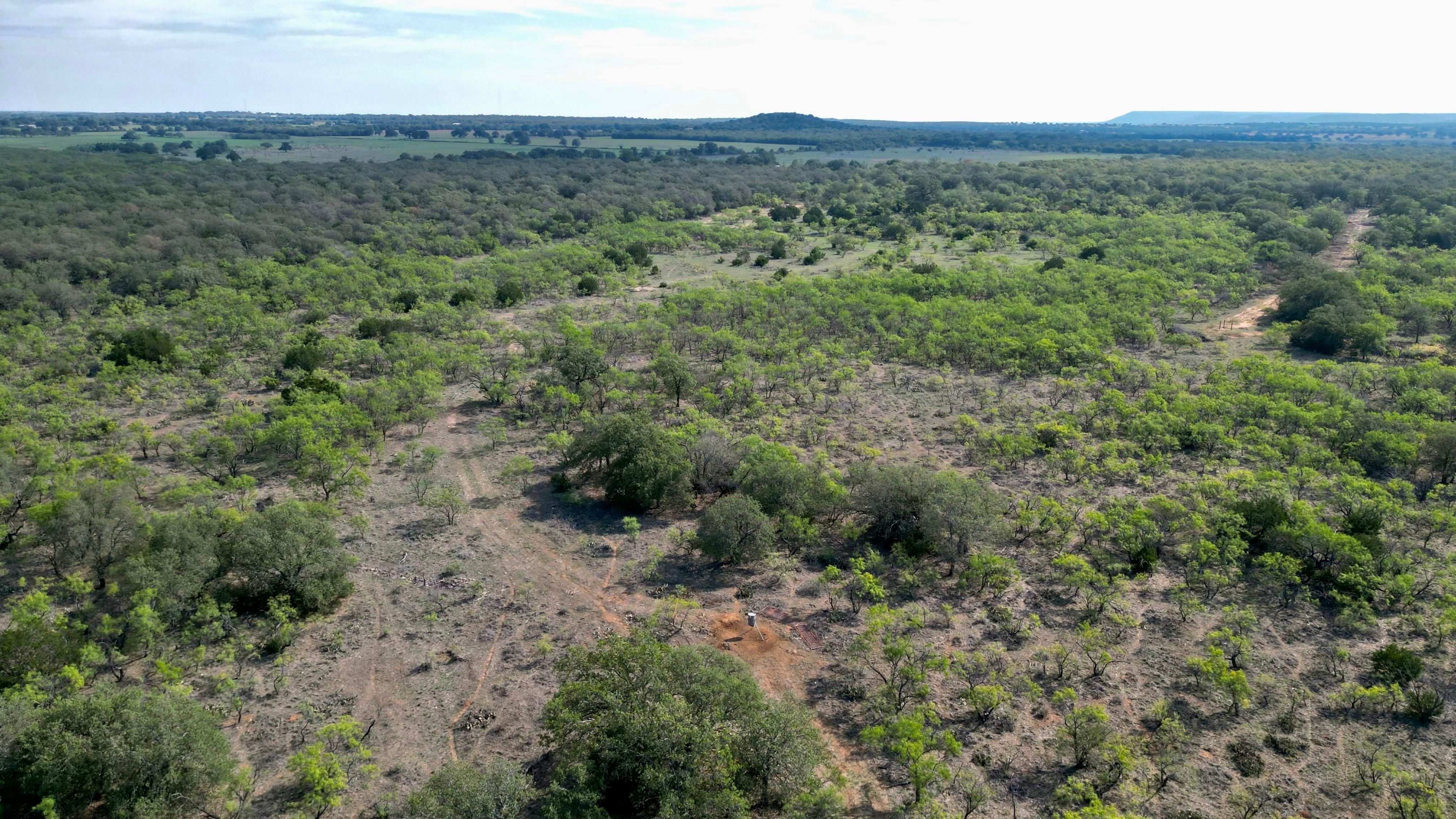 County Road 479, Baird, TX 79504