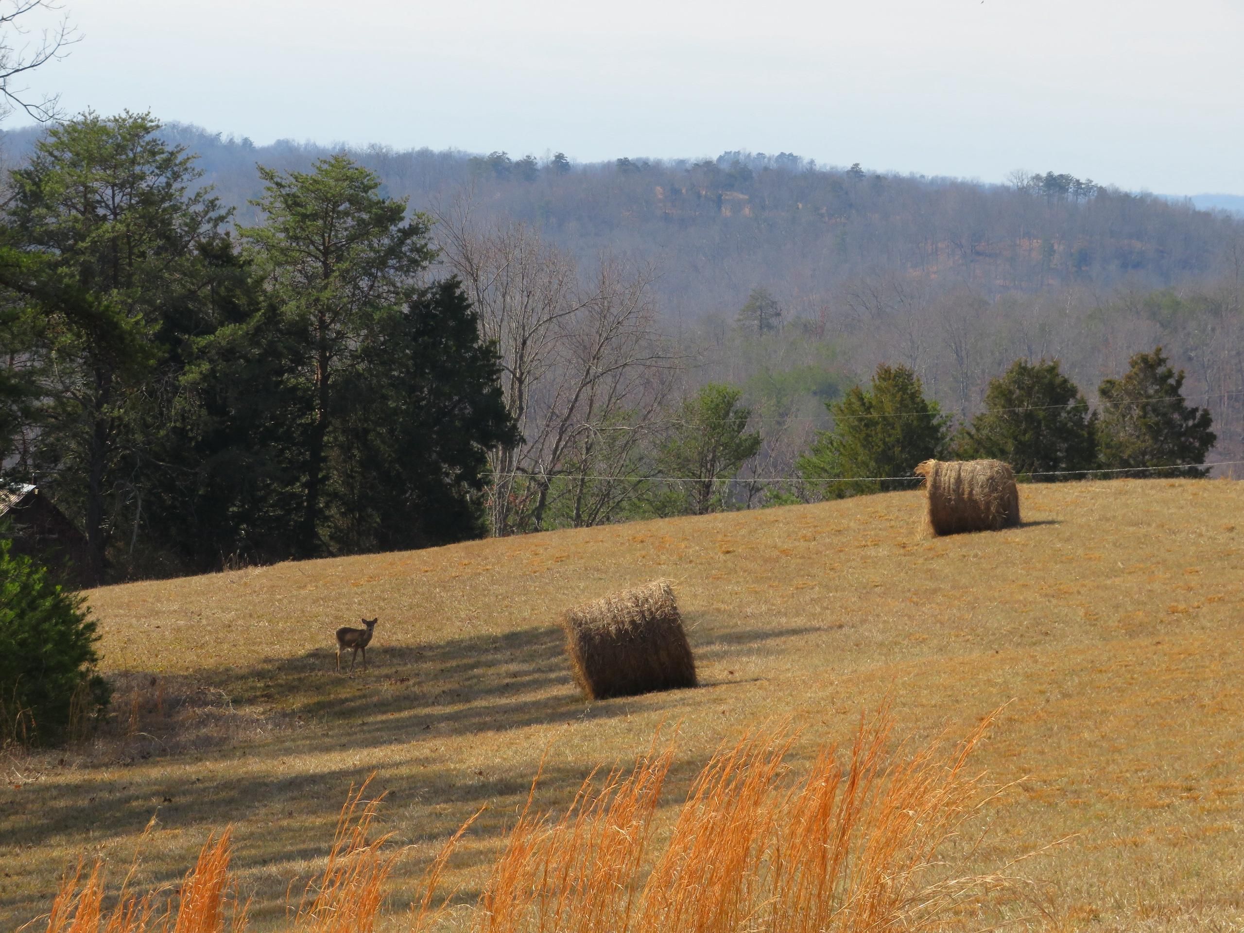 210 acres in Mason County, West Virginia