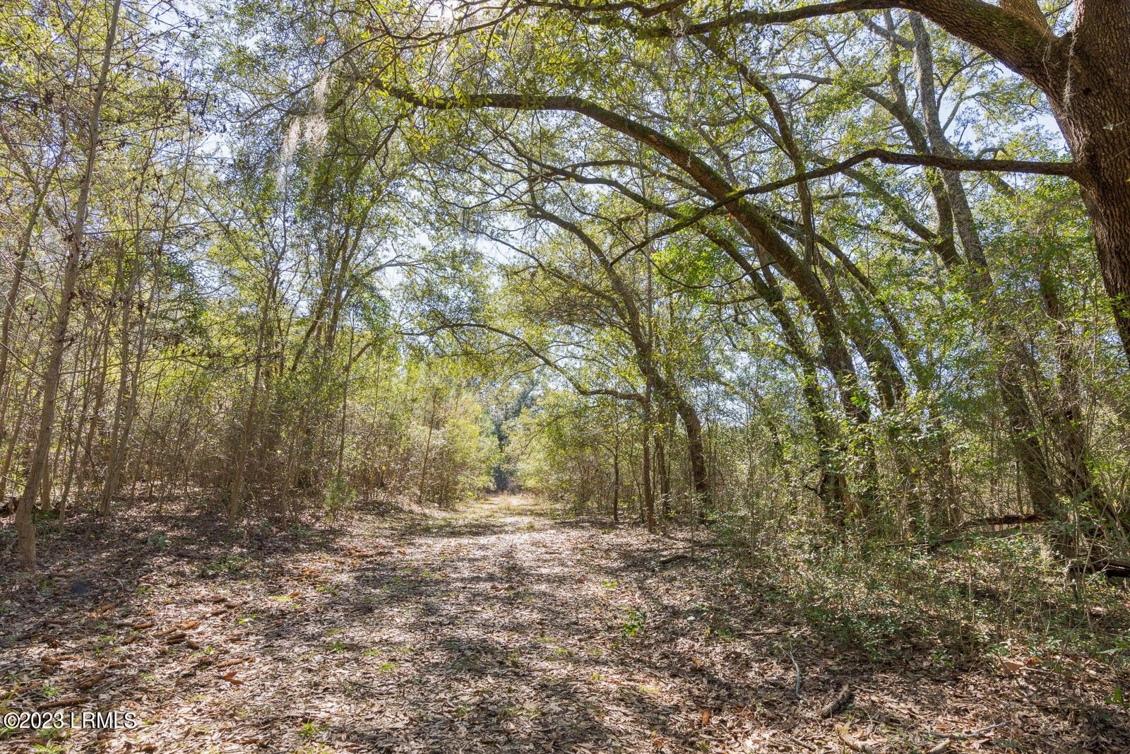 10 acres in Hampton County, South Carolina