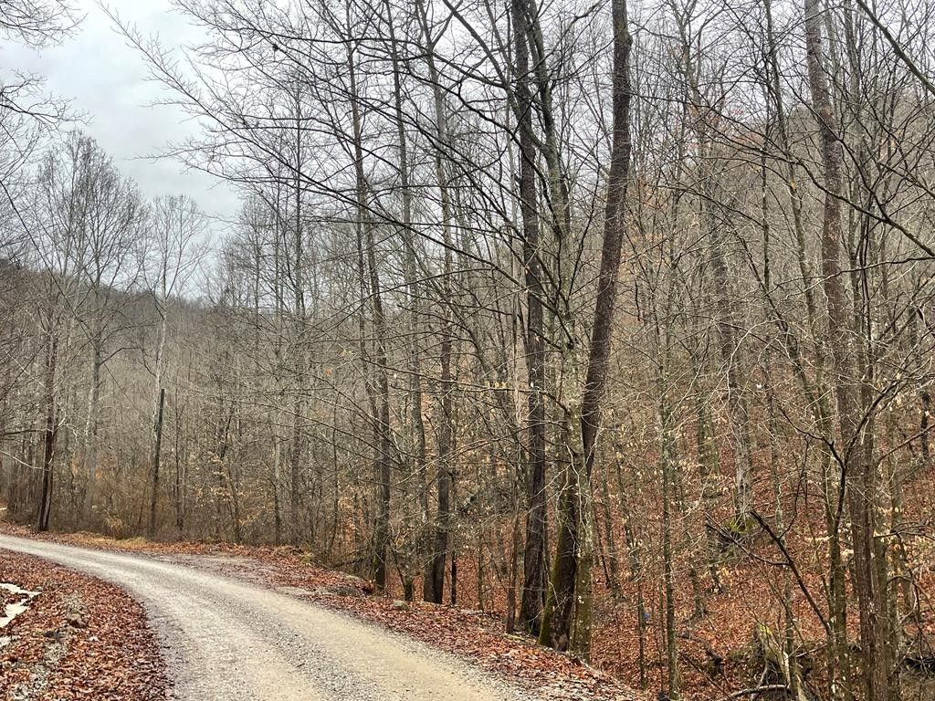 125 acres in Knott County, Kentucky