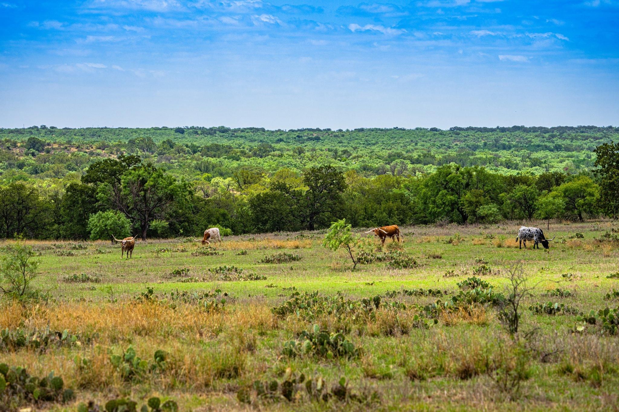 11450 CR 266, Richland Springs, TX 76871