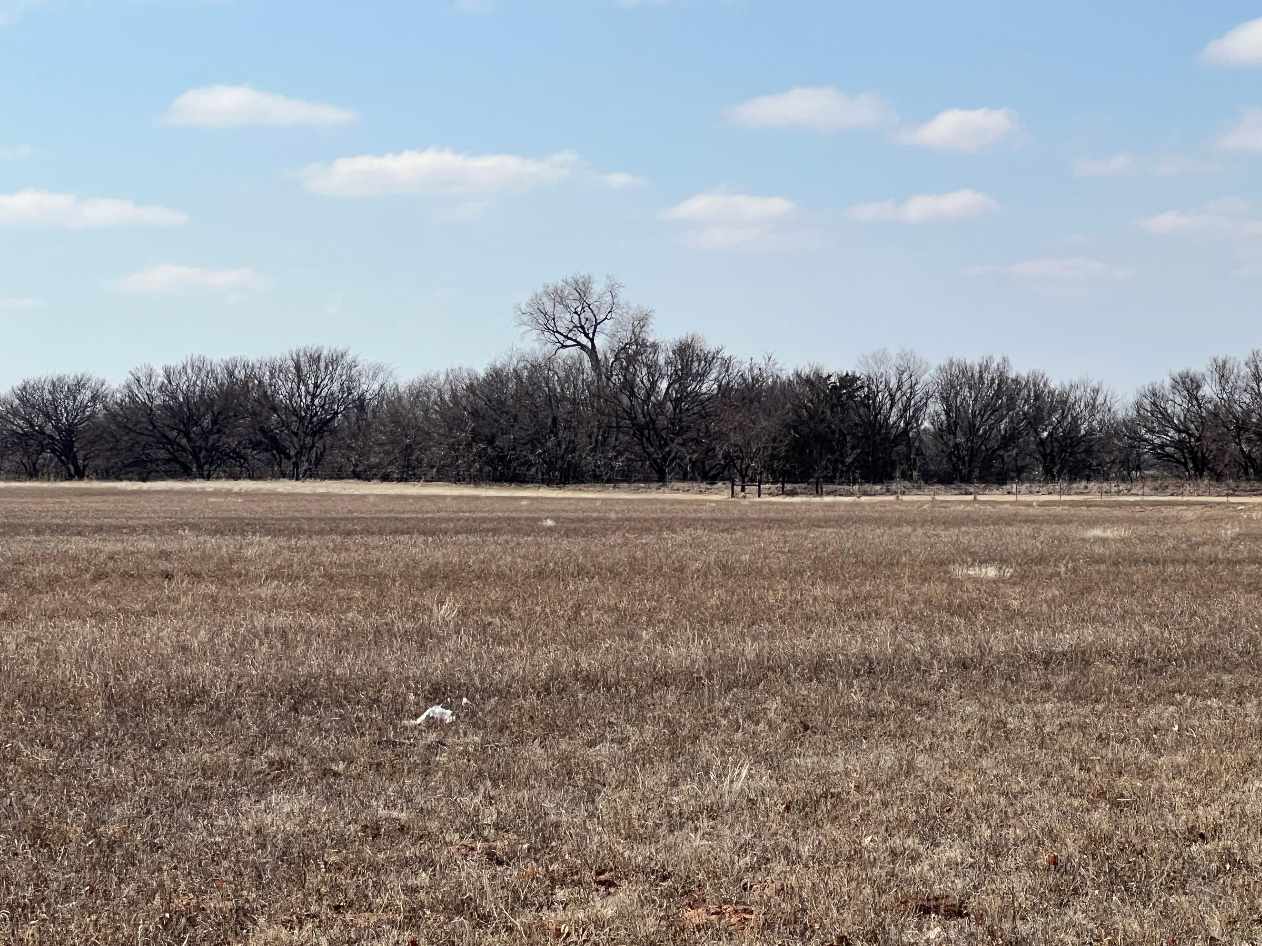 80 acres in Major County, Oklahoma