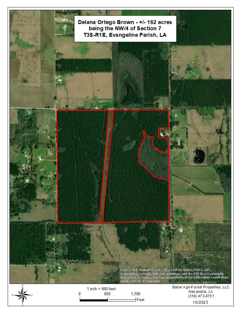 162 acres in Evangeline Parish, Louisiana