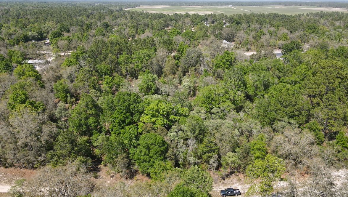 0.25 acres in Levy County, Florida