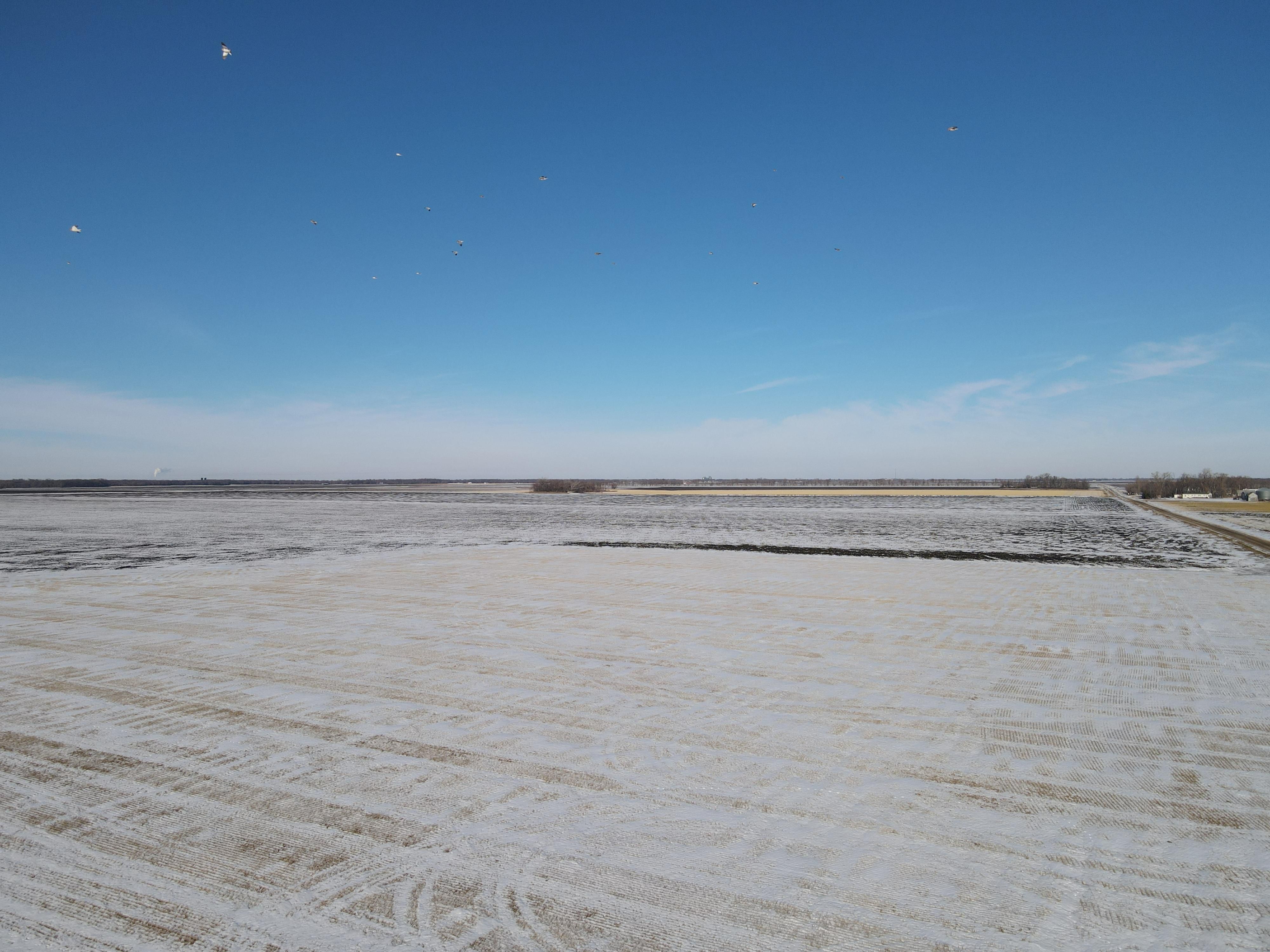 99 acres in Norman County, Minnesota