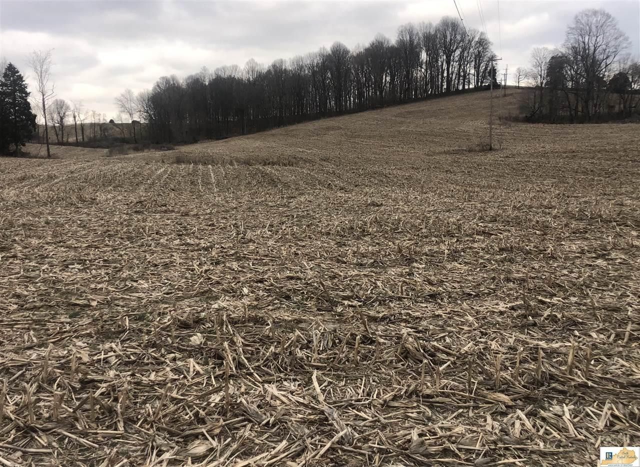 34 acres in Taylor County, Kentucky