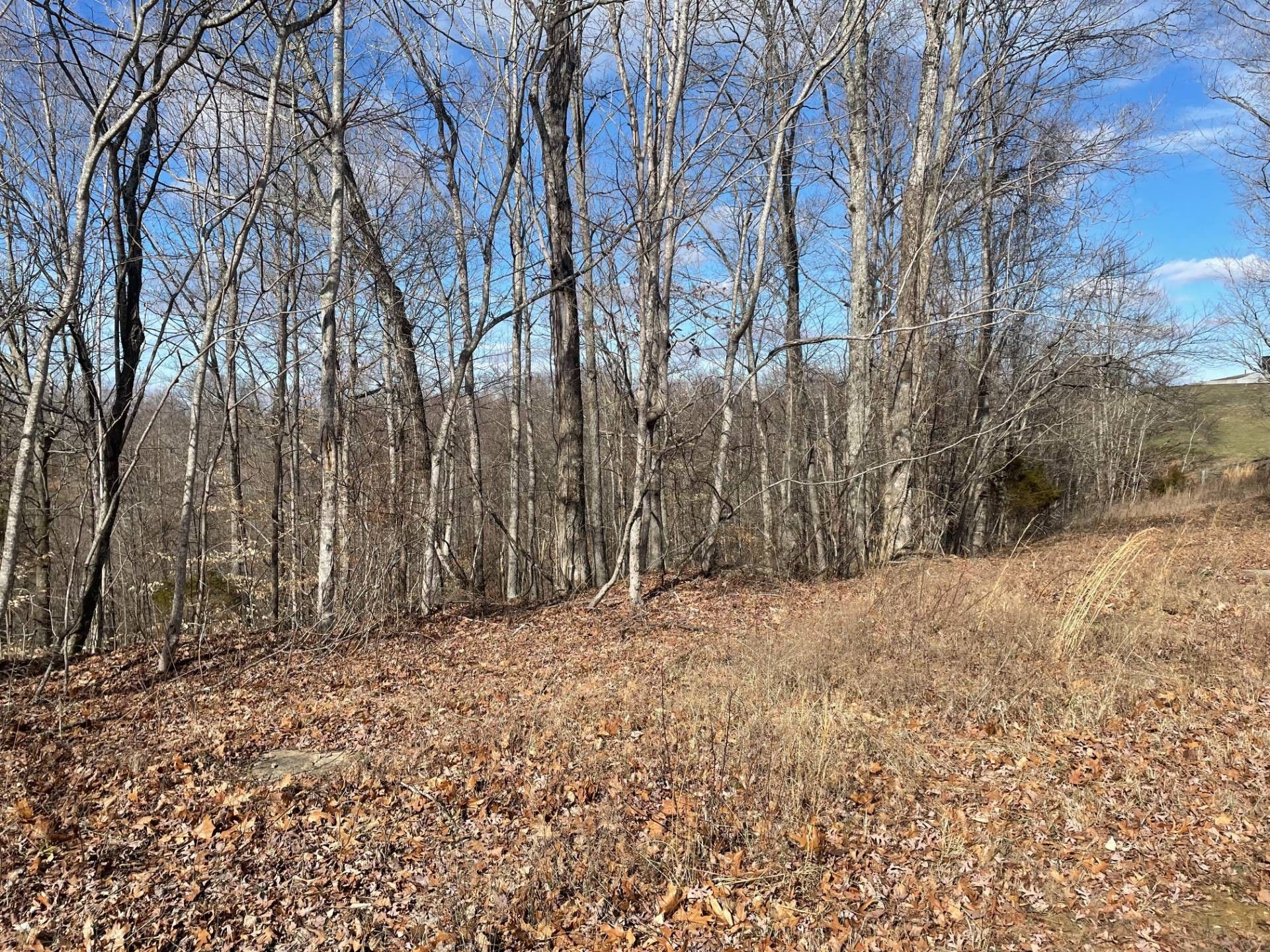 2 acres in Cumberland County, Kentucky
