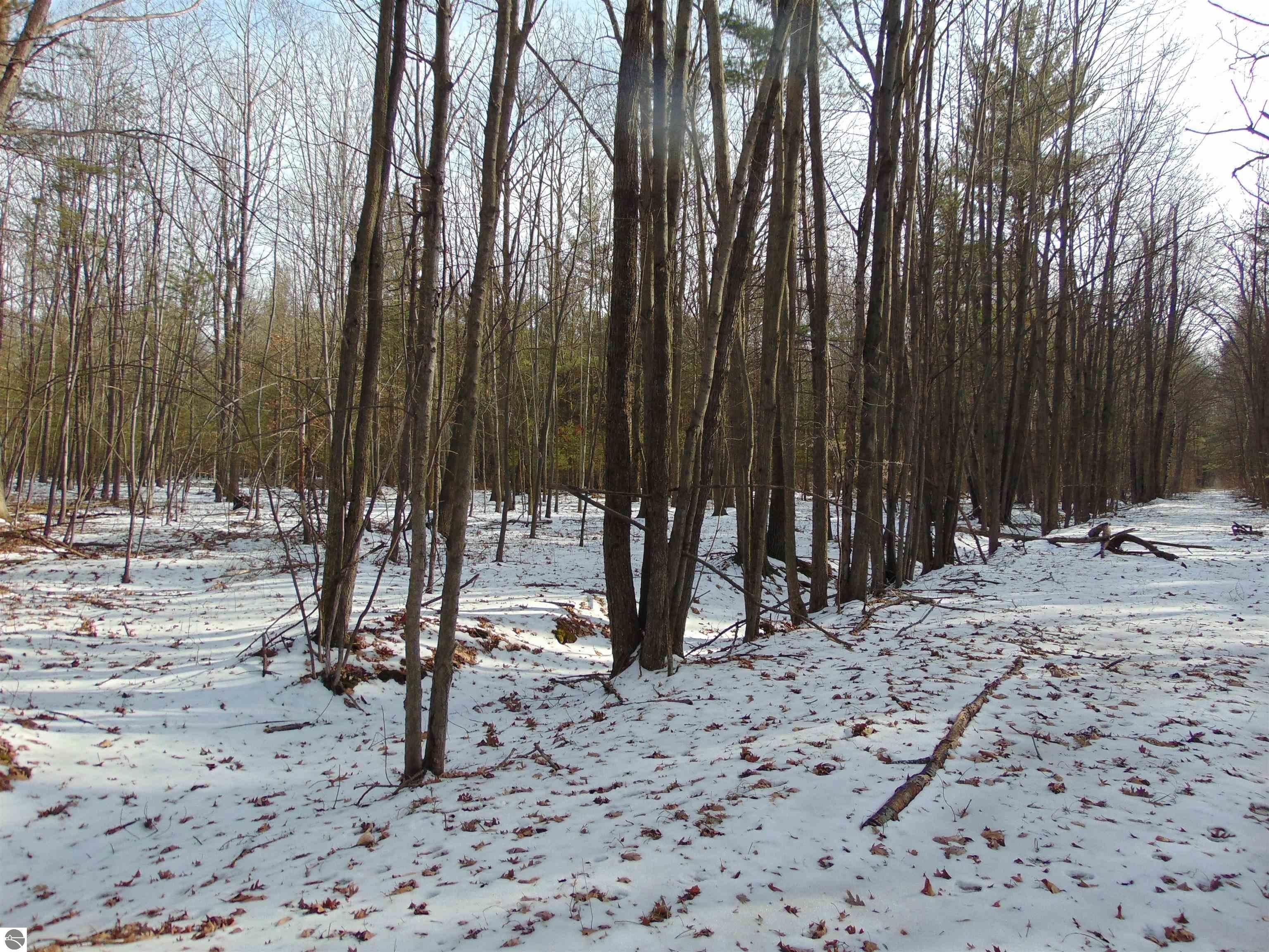 40 acres in Gratiot County, Michigan