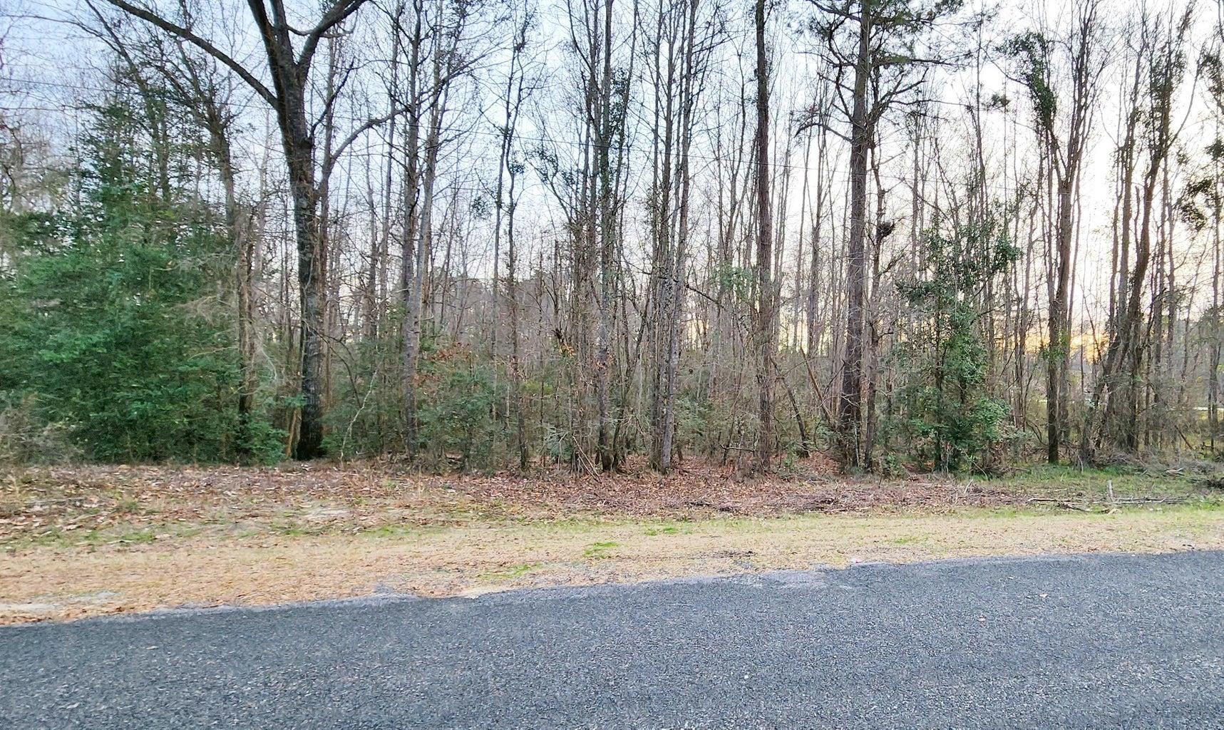 3.23 acres in Calhoun County, South Carolina