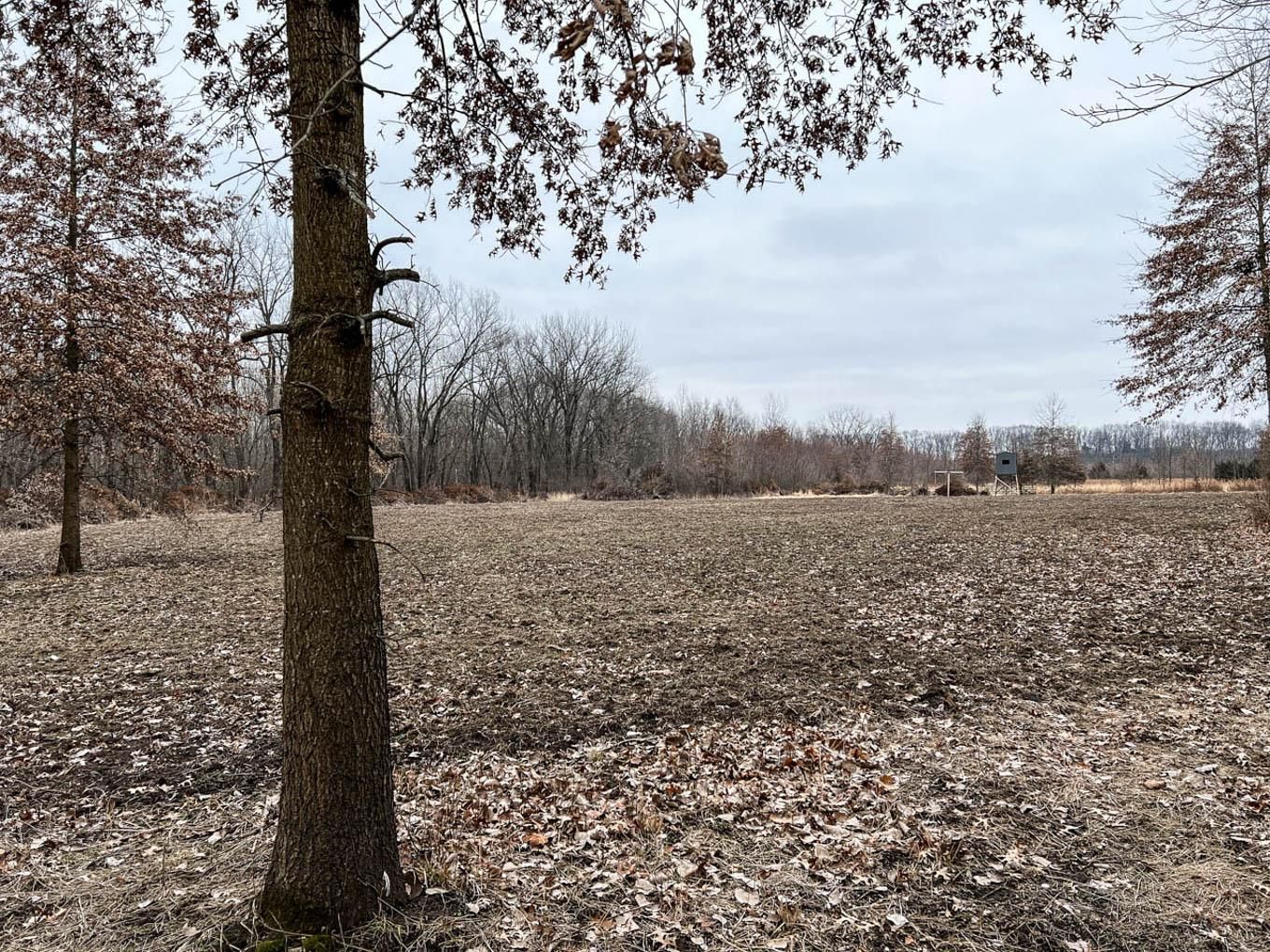 68 acres in Hancock County, Illinois