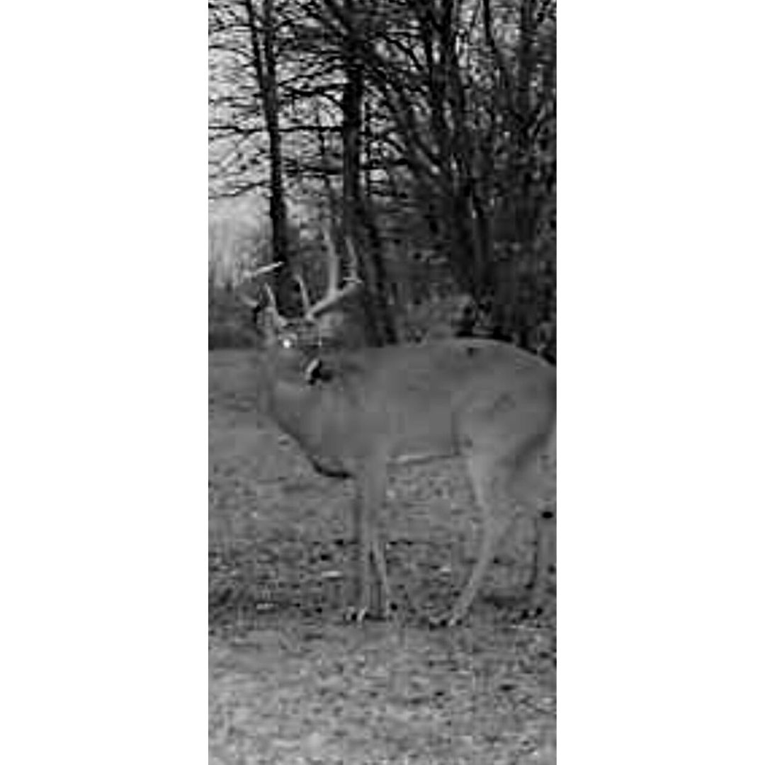 162 acres in Adair County, Missouri