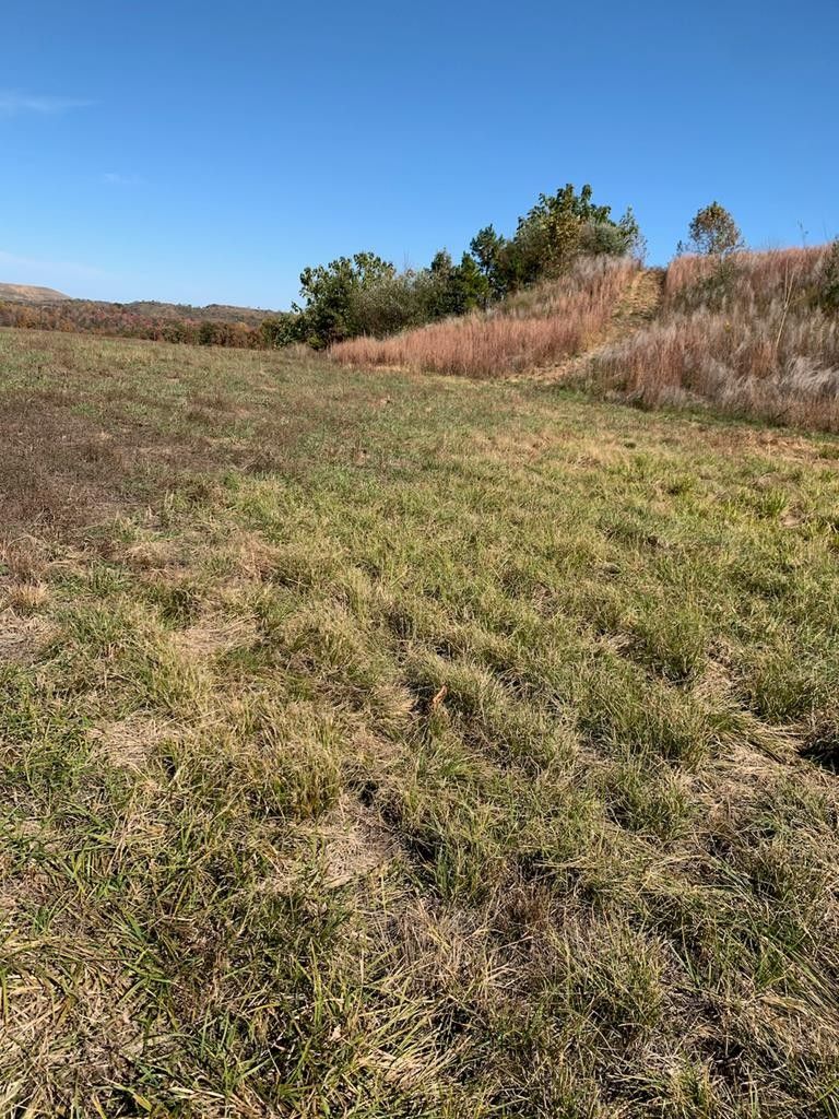 94 acres in Perry County, Kentucky