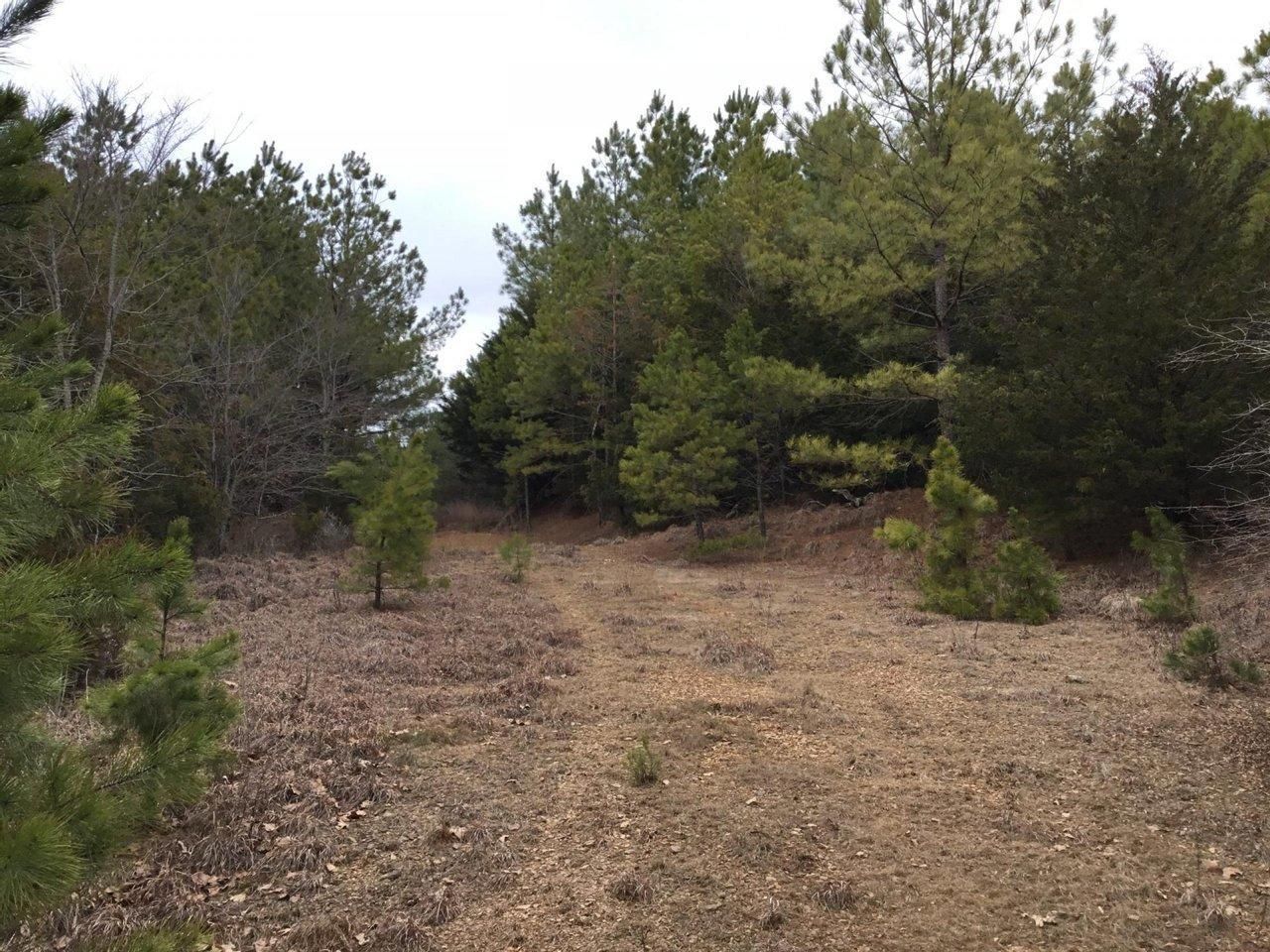 40 acres in Perry County, Arkansas