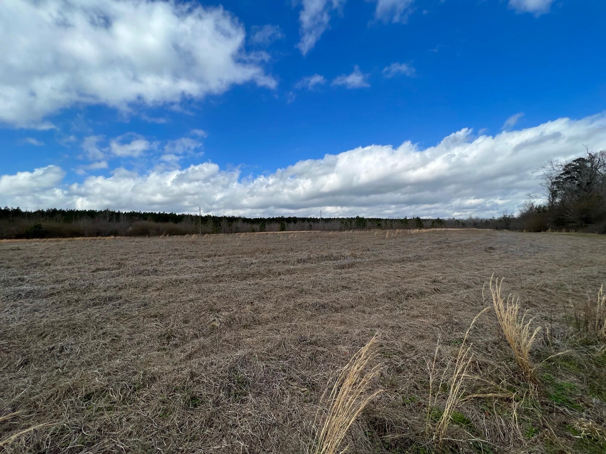 46.55 acres in Washington County,