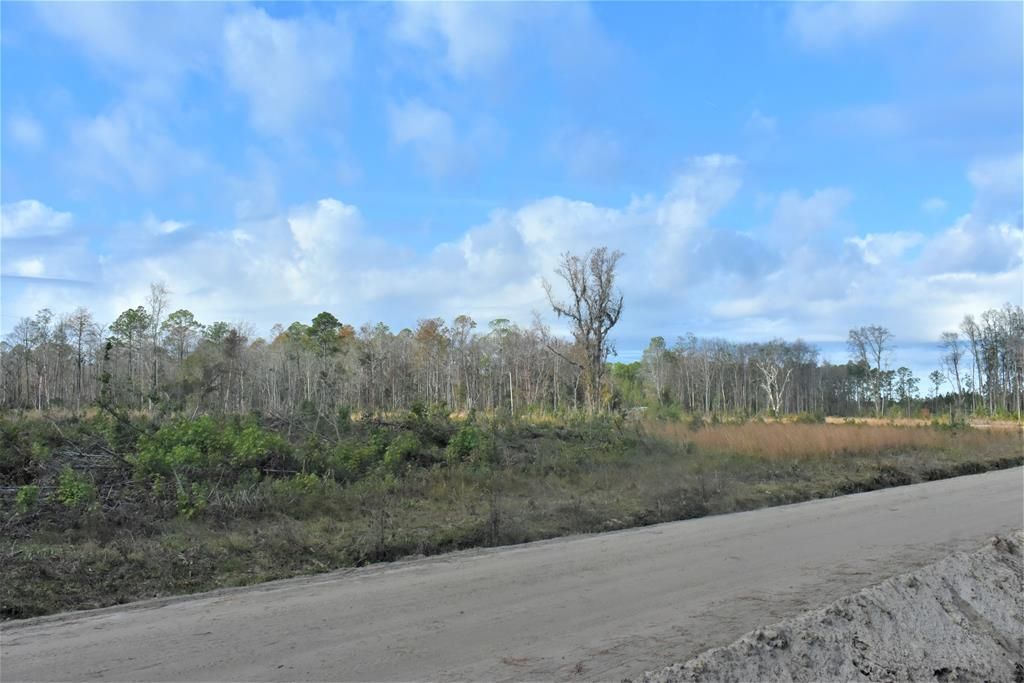 17 acres in Long County,