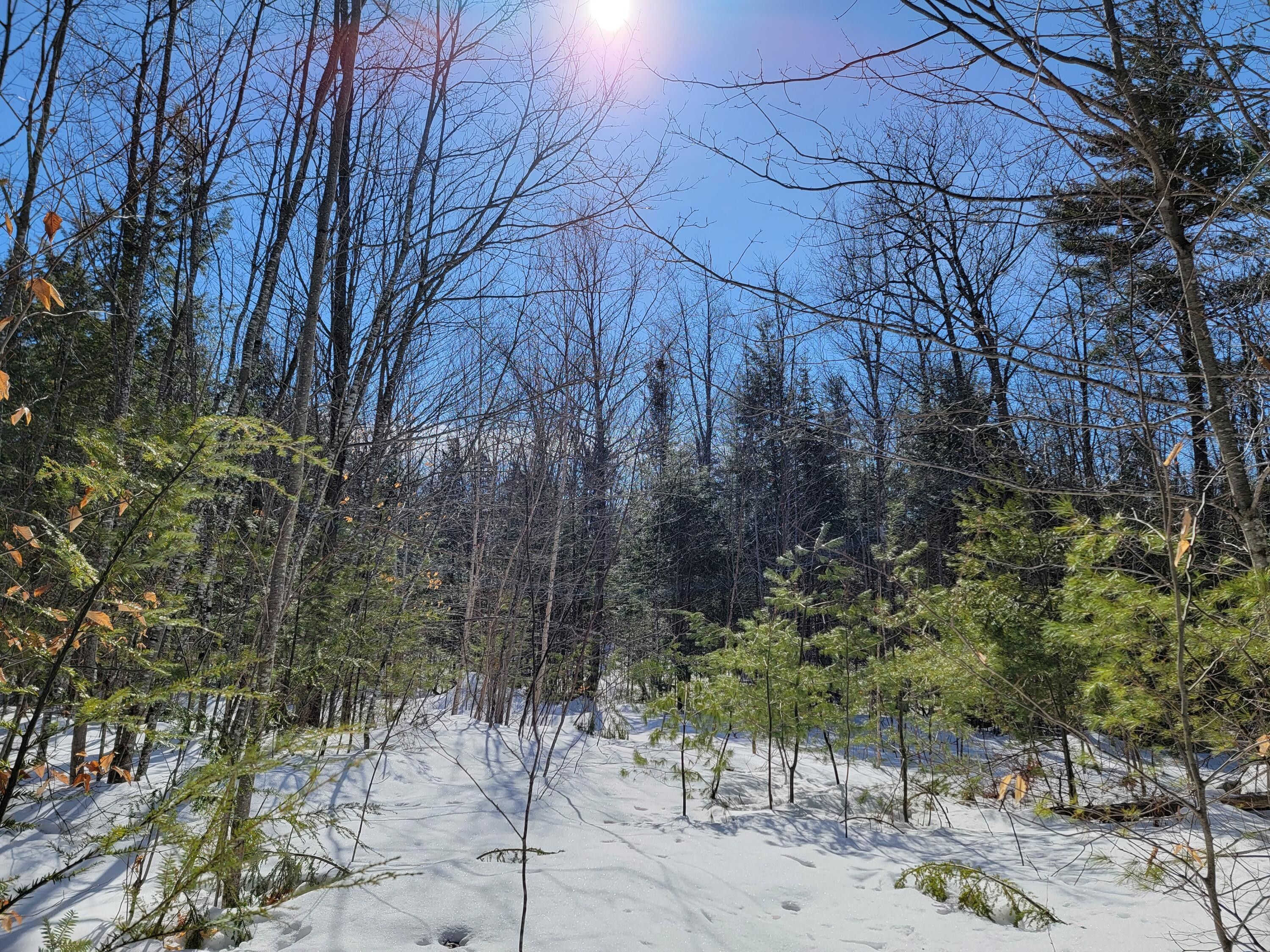 4.92 acres in Franklin County, Maine