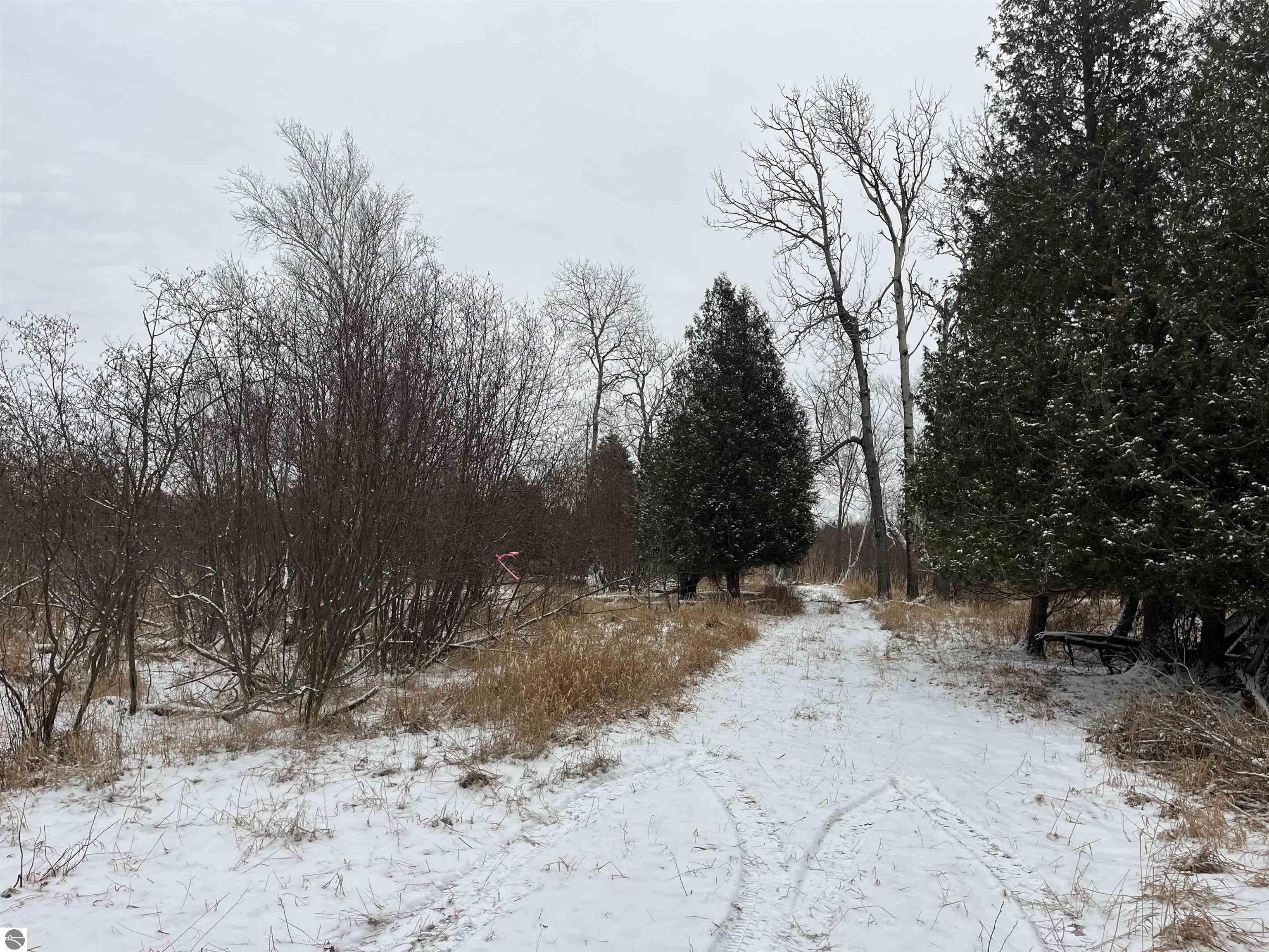 80 acres in Manistee County, Michigan