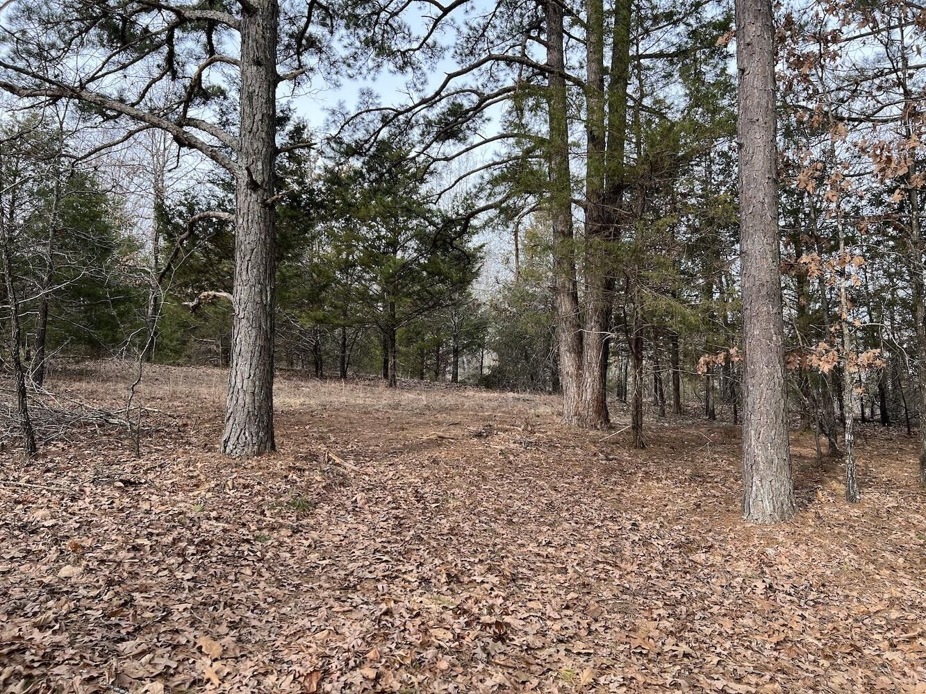 20 acres in Fulton County, Arkansas